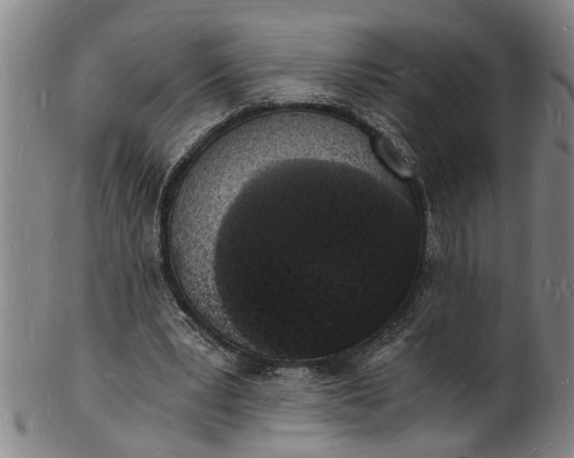 X0000101670391200807241445