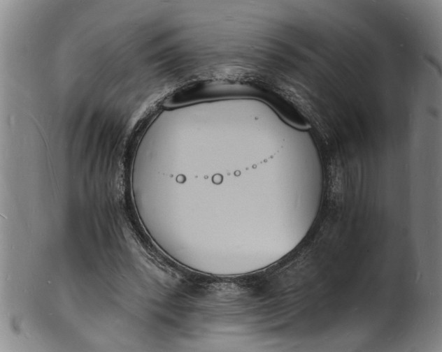 X0000101670392200807241445