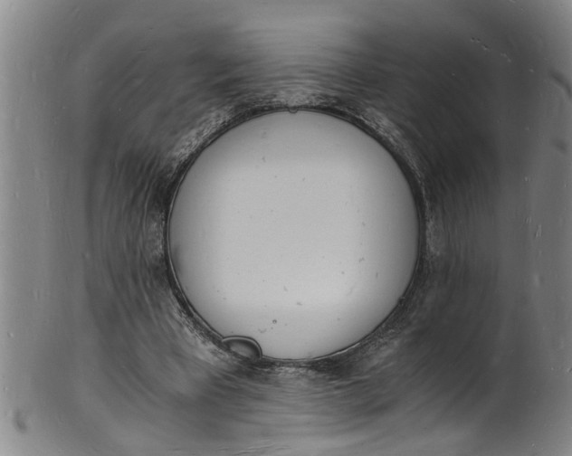 X0000101670393200807241445