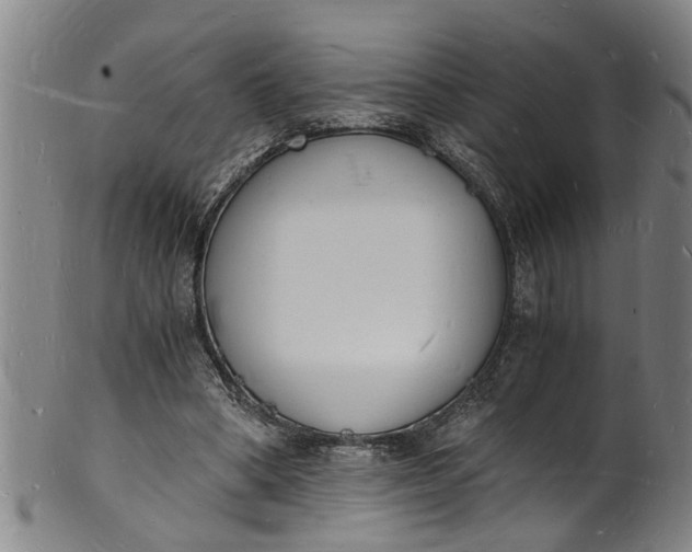 X0000101670394200807241445