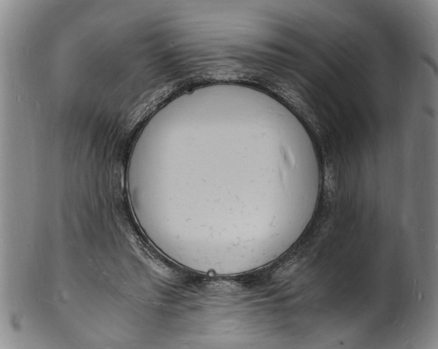 X0000101670397200807241445