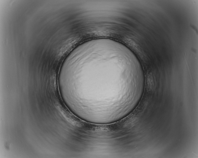 X0000101670398200807241445