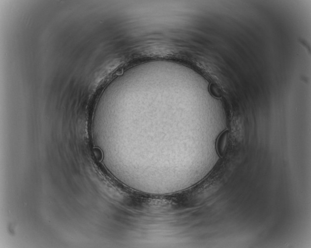 X0000101670399200807241445
