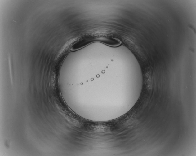 X0000101670400200807241445