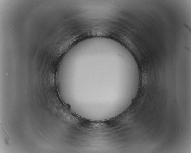 X0000101670401200807241445