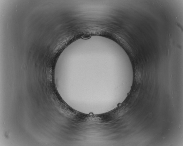 X0000101670403200807241445