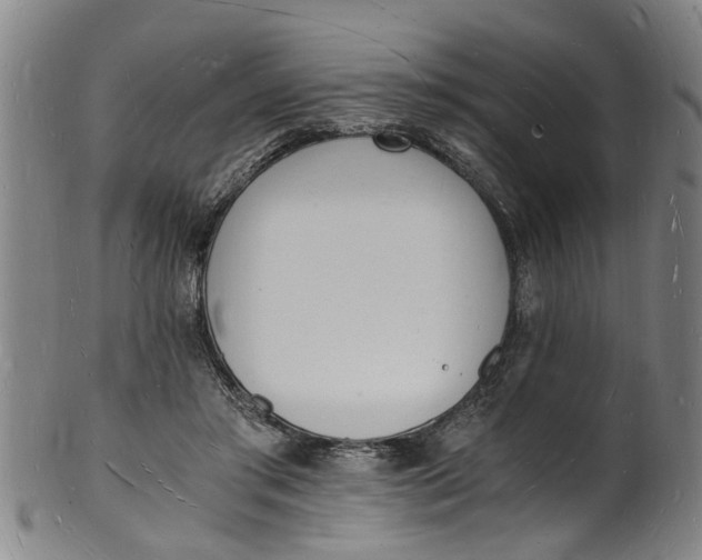 X0000101670405200807241445