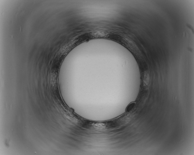 X0000101670409200807241445