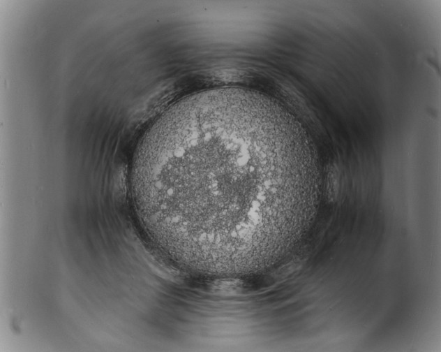 X0000101670410200807241445