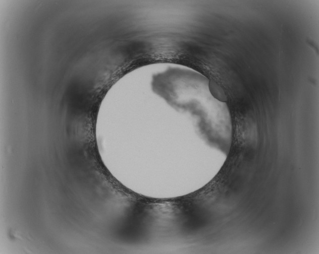 X0000101670411200807241445