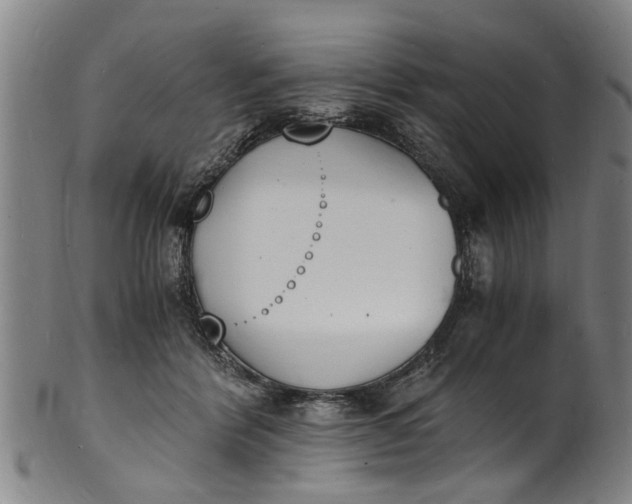 X0000101670412200807241445
