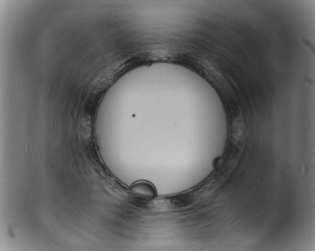 X0000101670413200807241445