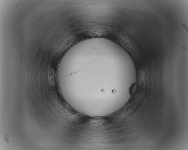 X0000101670414200807241445