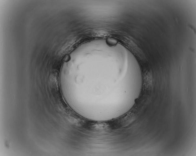X0000101670415200807241445