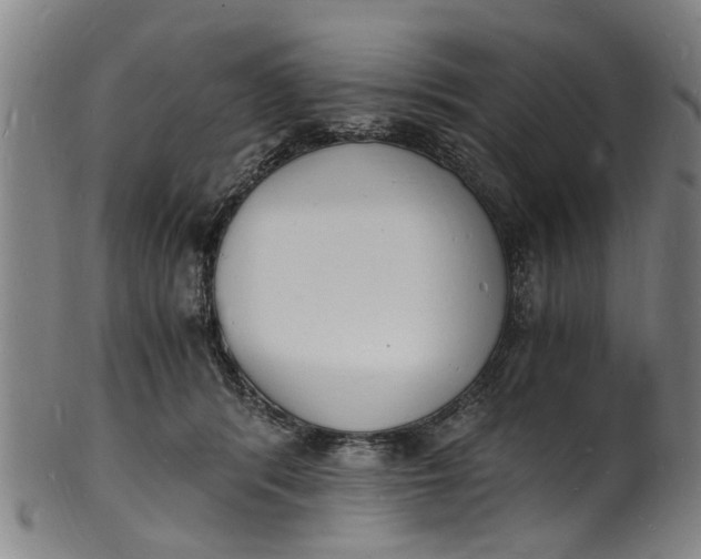 X0000101670416200807241445