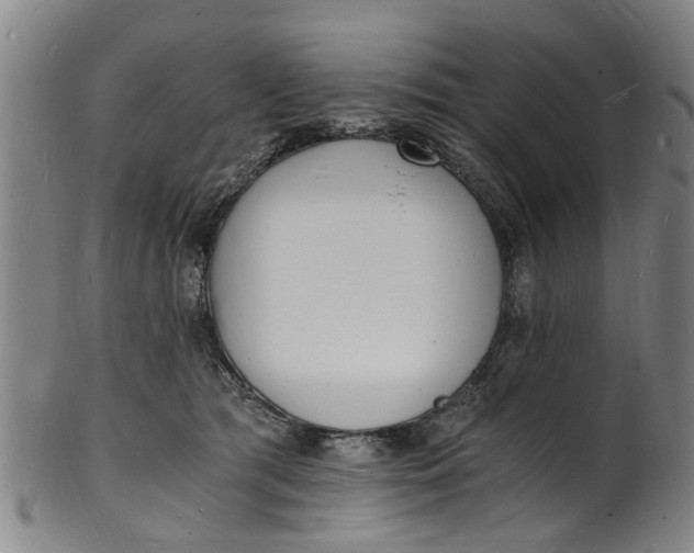 X0000101670417200807241445
