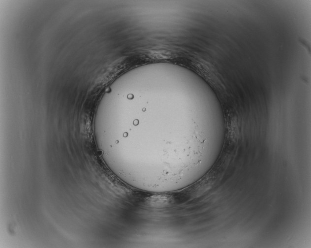 X0000101670418200807241445