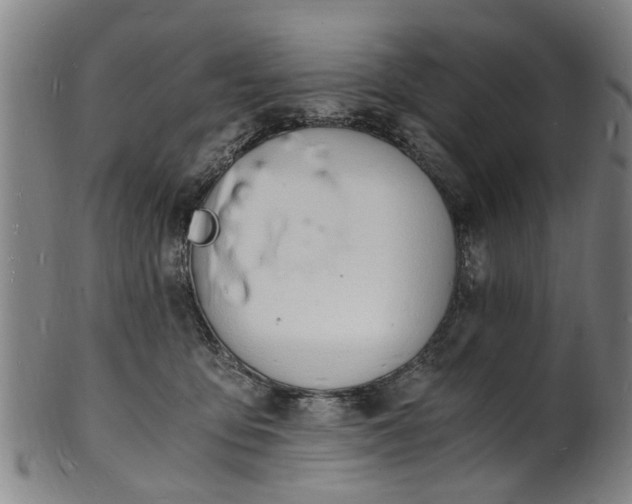 X0000101670419200807241445