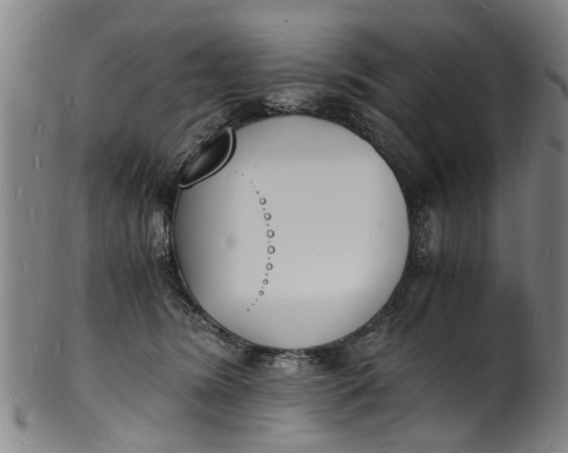 X0000101670420200807241445