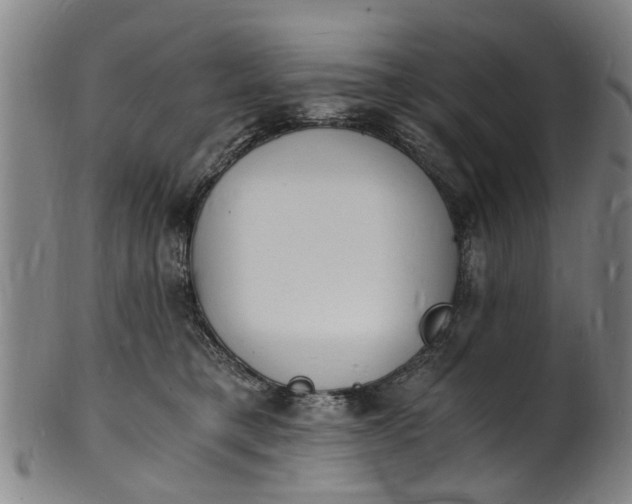 X0000101670421200807241445