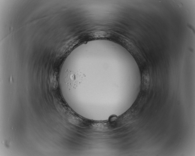 X0000101670422200807241445