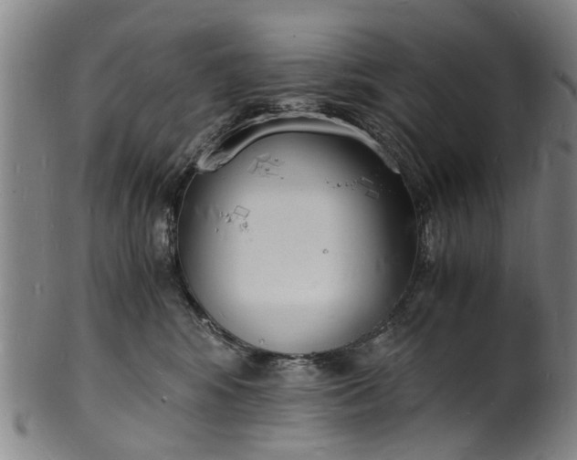 X0000101670424200807241445