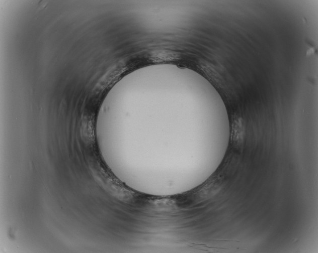 X0000101670426200807241445