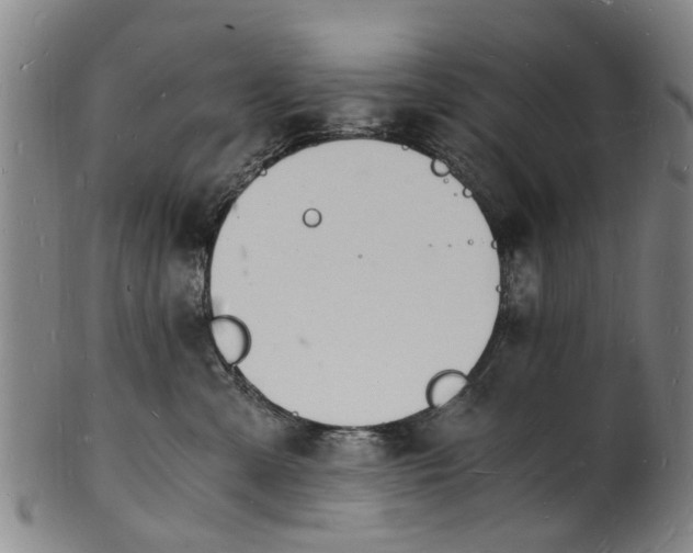 X0000101670427200807241445