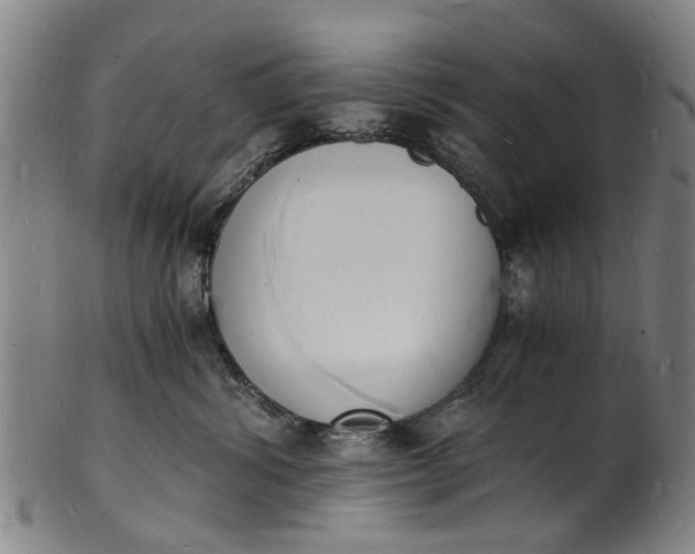 X0000101670428200807241445