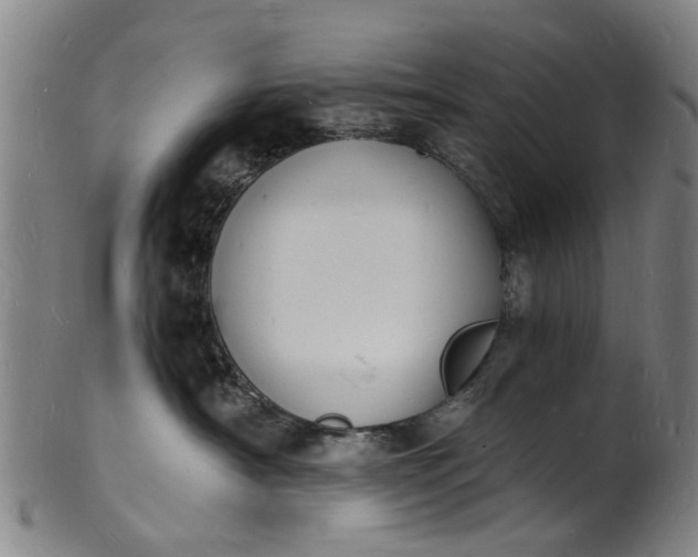 X0000101670430200807241445