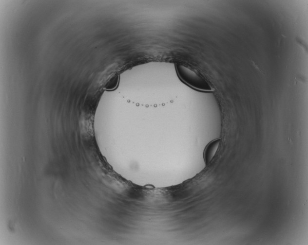 X0000101670432200807241445
