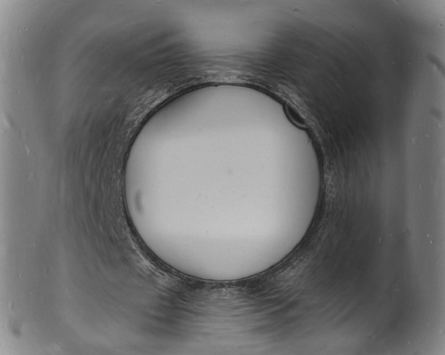 X0000101670433200807241444