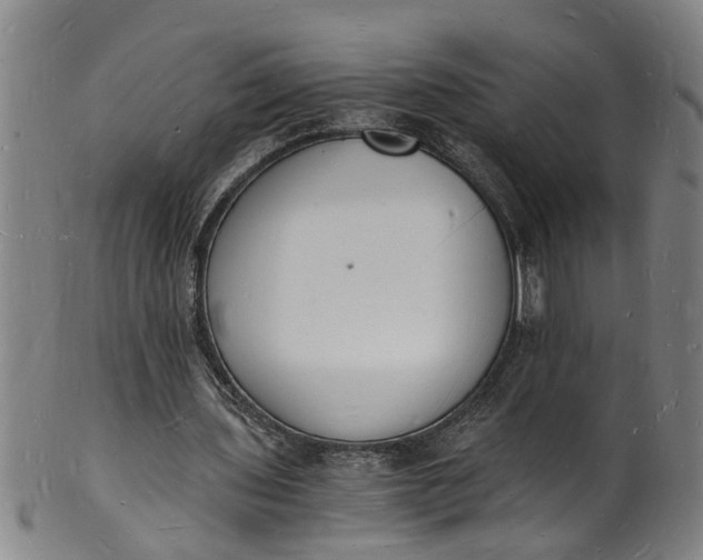 X0000101670435200807241444