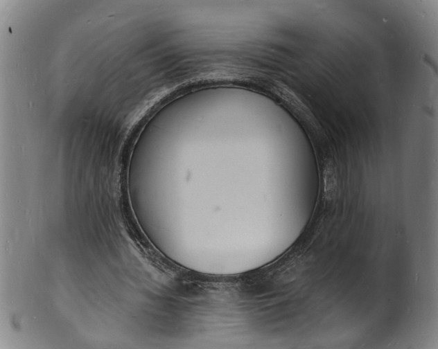X0000101670436200807241444