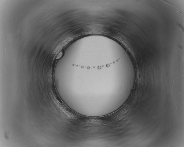 X0000101670437200807241444