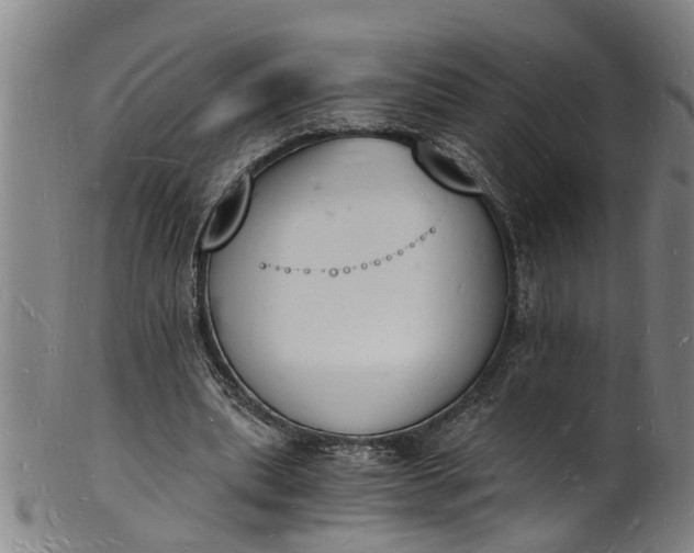 X0000101670439200807241444