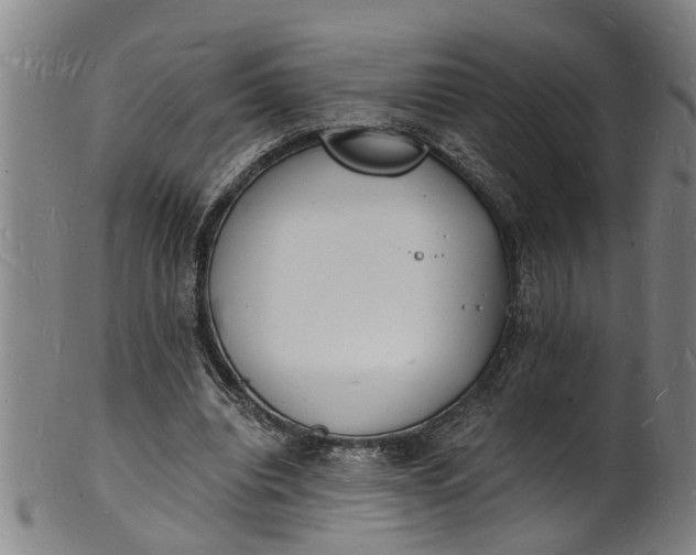 X0000101670440200807241444