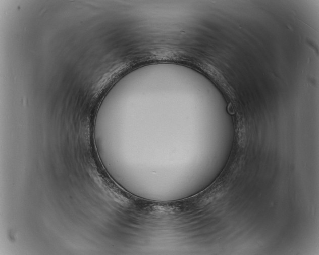 X0000101670442200807241444