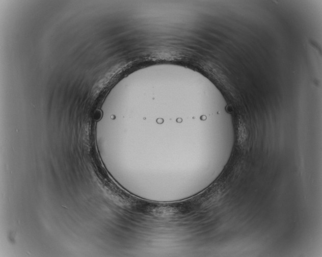 X0000101670444200807241444
