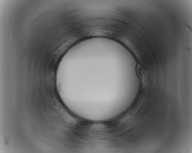 X0000101670445200807241444