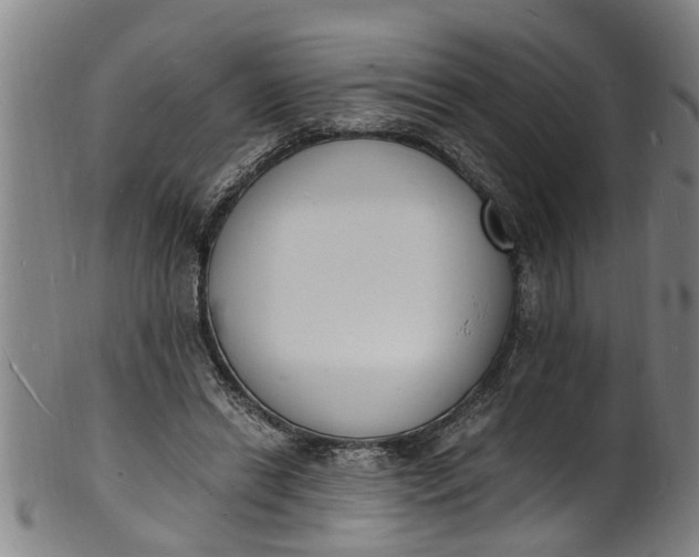 X0000101670446200807241444