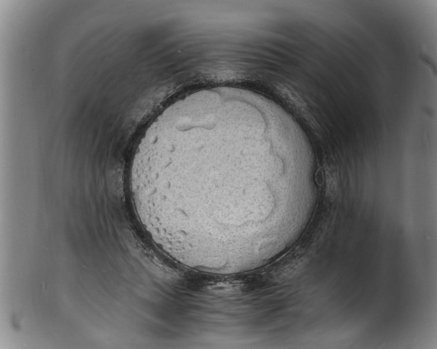 X0000101670447200807241444