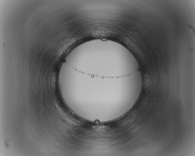 X0000101670448200807241444