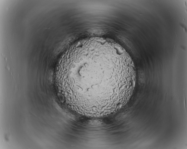 X0000101670451200807241444