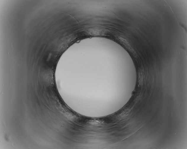 X0000101670453200807241444