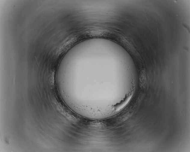 X0000101670454200807241444