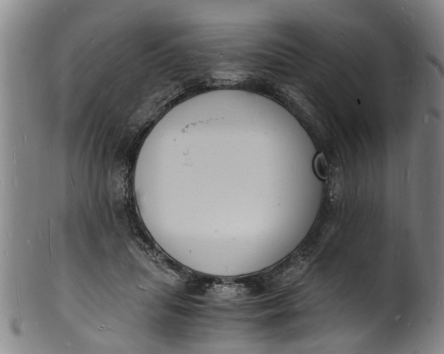 X0000101670455200807241444