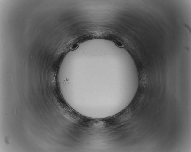 X0000101670456200807241444