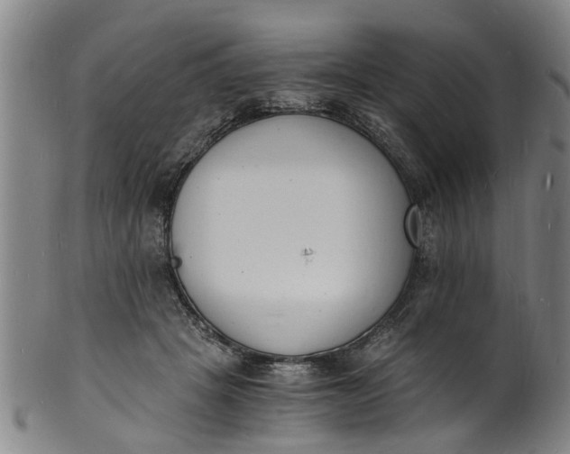 X0000101670457200807241444