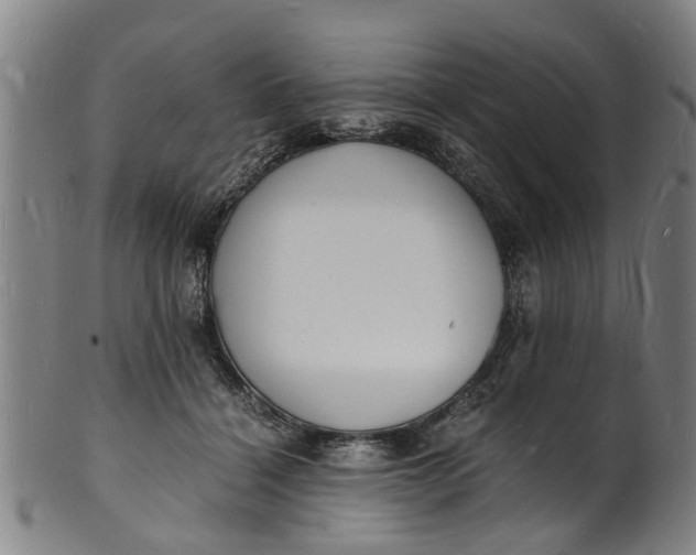 X0000101670460200807241444